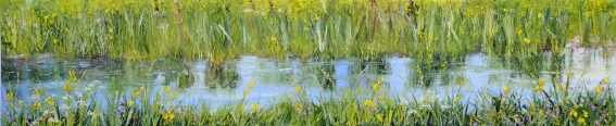 Flag Iris Stream