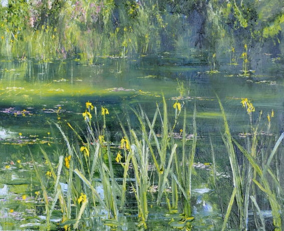 Flag Iris Pool