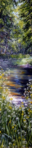 Flag Iris and Cow Parsley 6 The Deenagh River